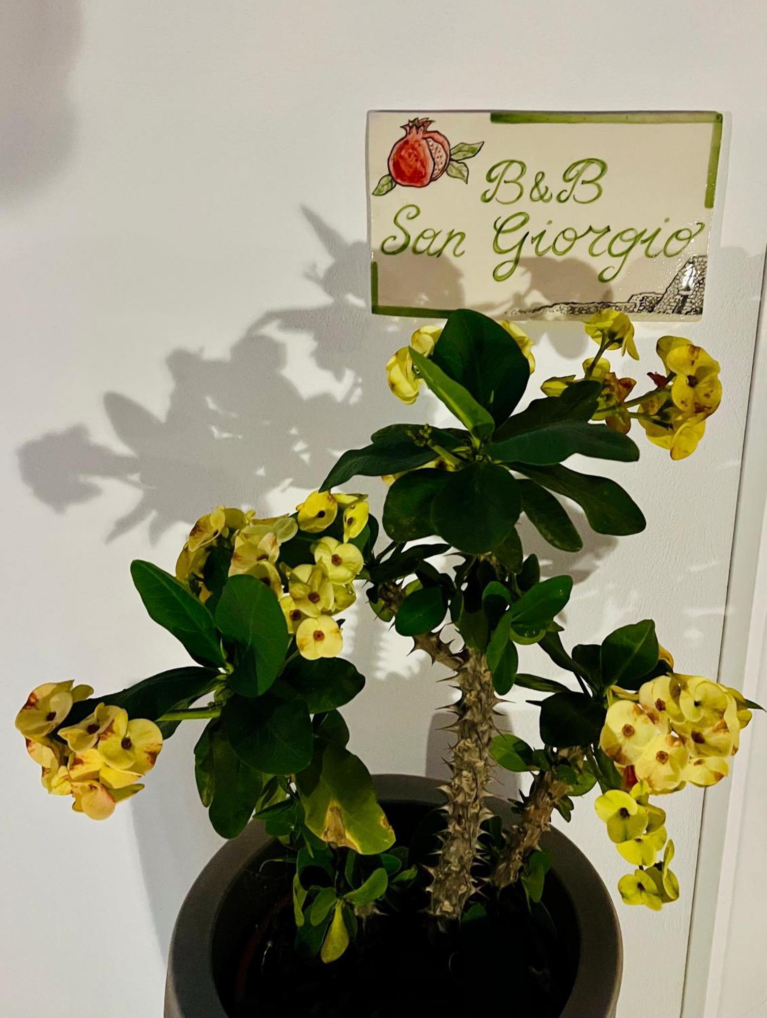 B&B Sangiorgio Borgagne Exteriér fotografie